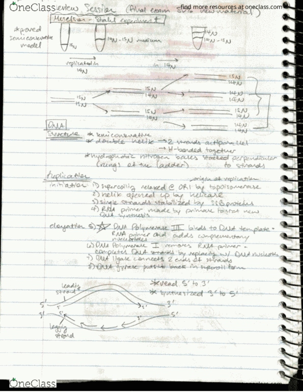 BIO 311C Final Final Review Session, First Half Only (Dec 3) OneClass