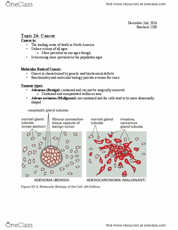 Biochemistry 2280A Lecture Notes - Lecture 26: Myeloid Tissue, Cisplatin, Jq1 thumbnail