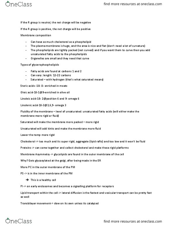 Physiology 3140A Lecture Notes - Lecture 9: Caveolin, Mitosis, Phosphatidylserine thumbnail