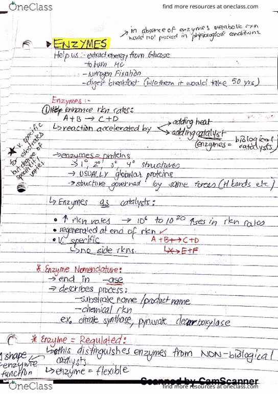 BIOCH200 Lecture 2: Enzymes thumbnail