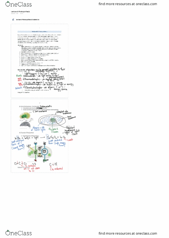 BIOL107 Lecture Notes - Lecture 5: Photosynthesis thumbnail