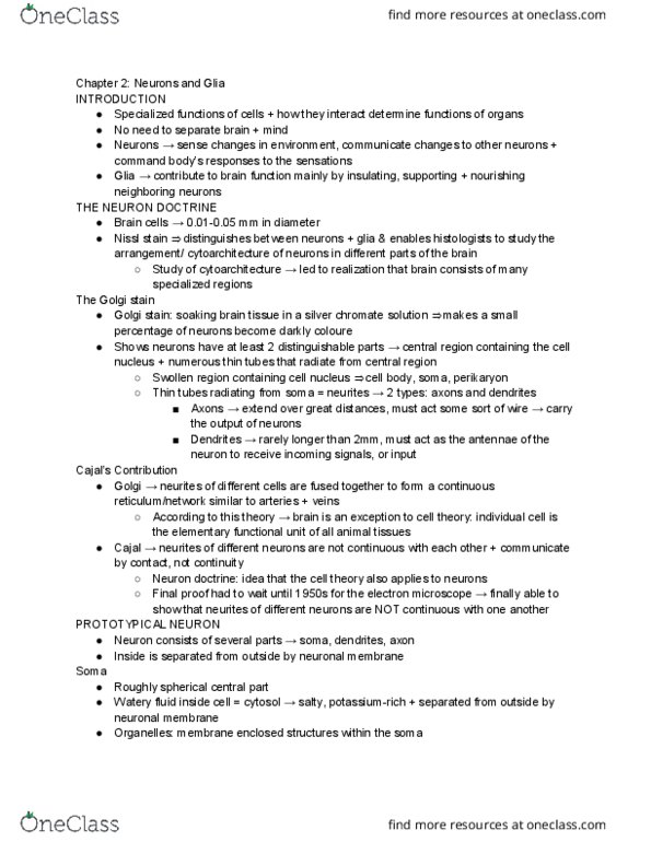 PSYC 355 Chapter Notes - Chapter 2: Wallerian Degeneration, Cerebral Cortex, Microglia thumbnail