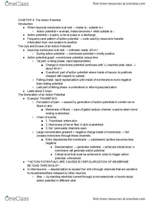 PSYC 355 Chapter Notes - Chapter 4: Optogenetics, Exosphere, Axon thumbnail