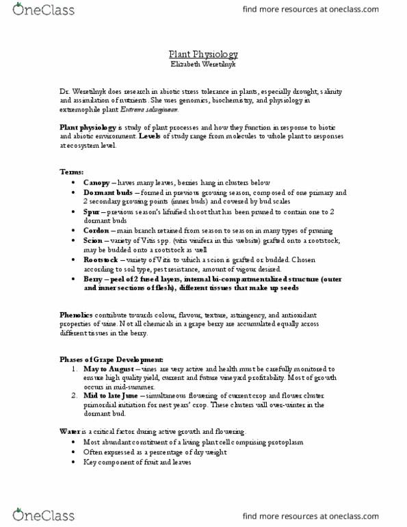 ISCI 3A12 Lecture Notes - Lecture 9: Veraison, Starch, Chlorophyll thumbnail