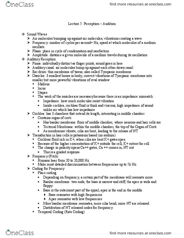 COGS 17 Lecture Notes - Lecture 9: Topological Map, Sound Energy, Tonotopy thumbnail