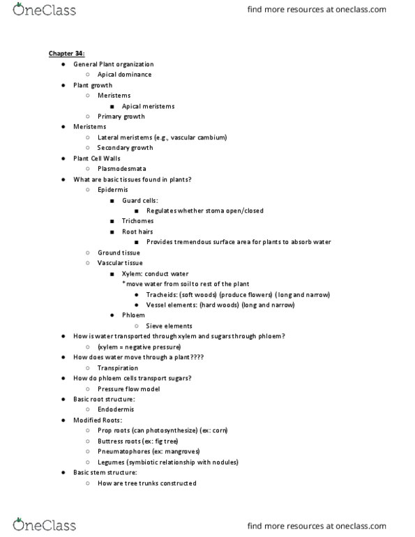 BIOL 150 Lecture Notes - Lecture 12: Photosynthesis, Dendrochronology, Homeostasis thumbnail