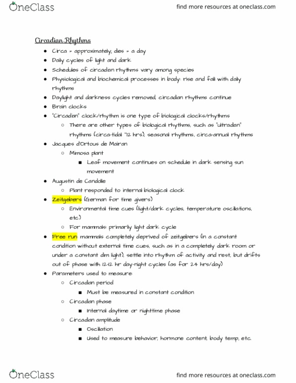 NRSC 277 Lecture Notes - Lecture 25: Ultradian Rhythm, X-Ray, Jet Lag thumbnail