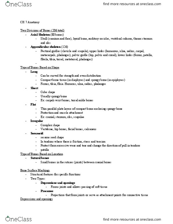 ANAT 101 Lecture Notes - Lecture 7: Thoracic Wall, Nutrient Artery, Xiphoid Process thumbnail