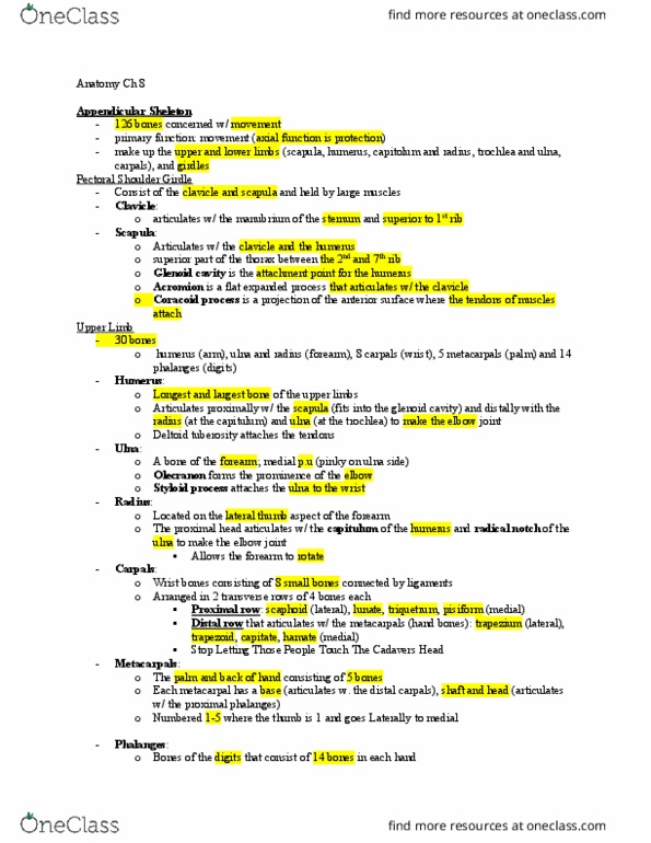 ANAT 101 Lecture Notes - Lecture 8: Muscular System, Intramembranous Ossification, Skeleton thumbnail