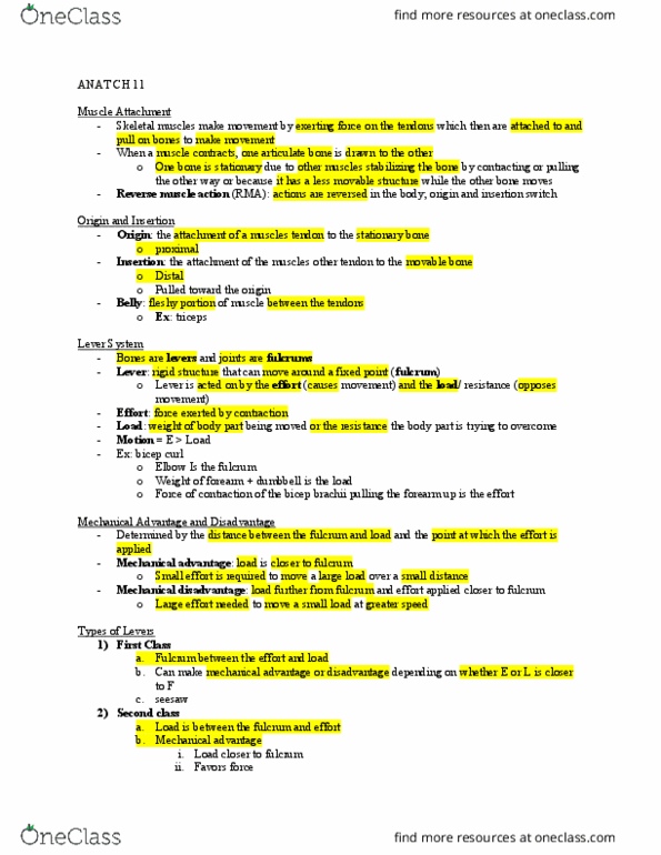 ANAT 101 Lecture Notes - Lecture 11: Masseter Muscle, Agonist, Temporal Muscle thumbnail