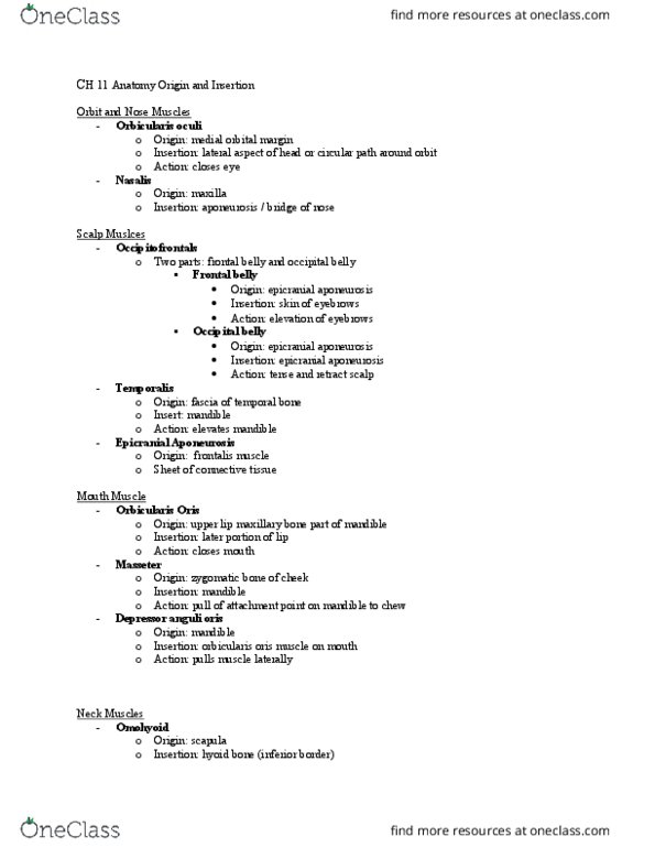 ANAT 101 Lecture Notes - Lecture 11: Iliotibial Tract, Tensor Fasciae Latae Muscle, Iliacus Muscle thumbnail