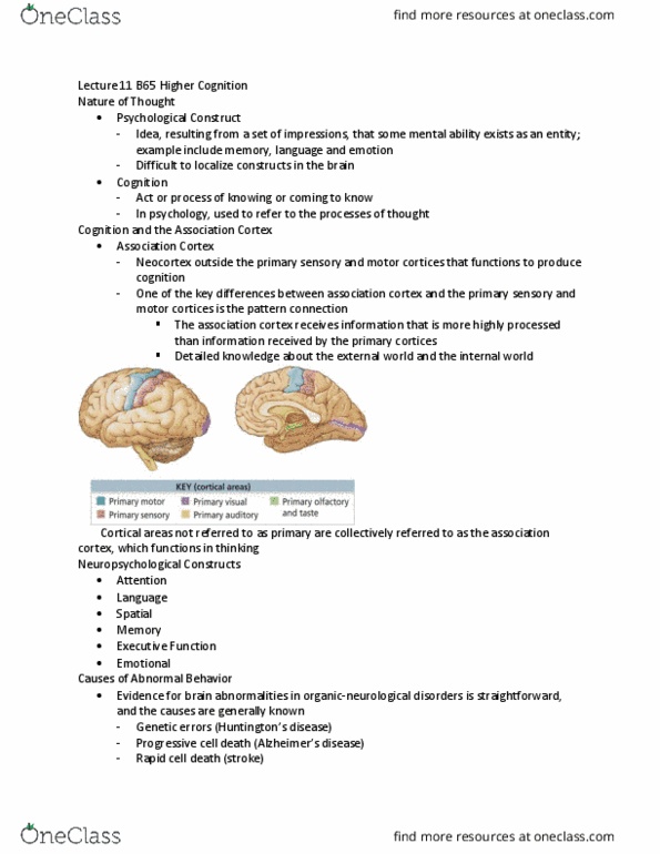 PSYB65H3 Lecture Notes - Lecture 11: Ischemia, Medical Imaging, Catatonia thumbnail