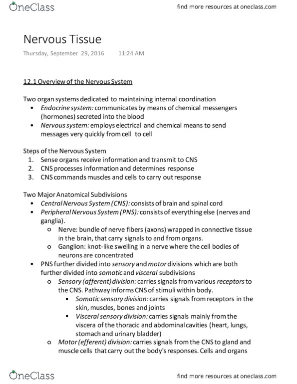 BIOL 1050H Chapter Notes - Chapter 12: Schwann Cell, Tetanus, The Delay thumbnail