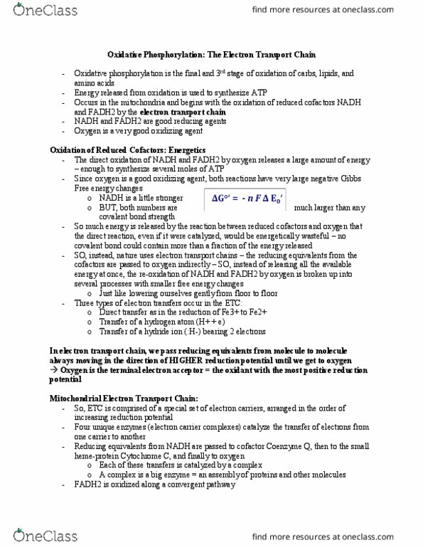 BIOC 2580 Lecture Notes - Lecture 10: Peptide, Hemoglobin, Chromophore thumbnail