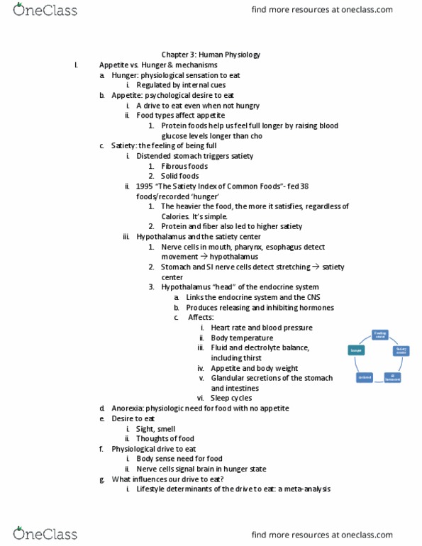 KNH 102 Chapter Notes - Chapter 3: Riboflavin, Ileum, Brush Border thumbnail