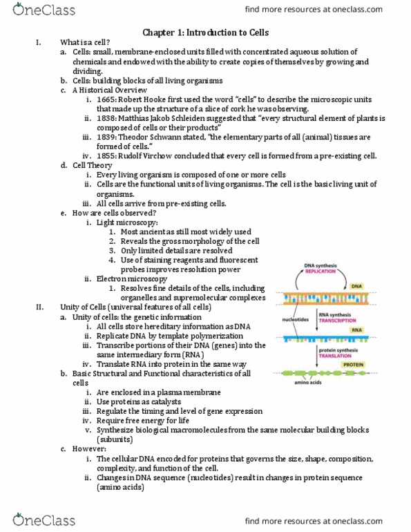 BIO 203 Chapter Notes - Chapter 1: Nuclear Membrane, Motility, Intermediate Filament thumbnail