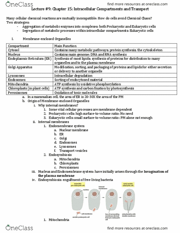 BIO 203 Lecture Notes - Lecture 9: Unfolded Protein Response, Quality Control, Clathrin thumbnail