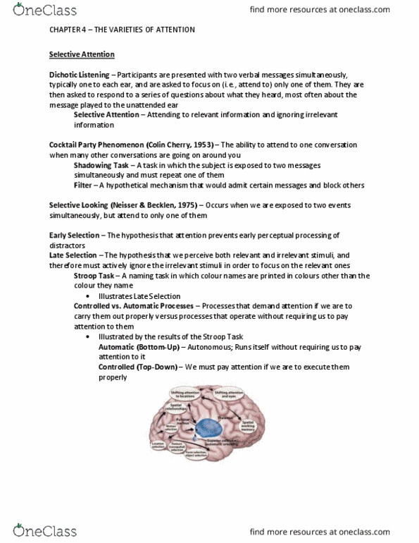 PSYB57H3 Chapter Notes - Chapter 4: Anterior Cingulate Cortex, Stroop Effect, Colin Cherry thumbnail