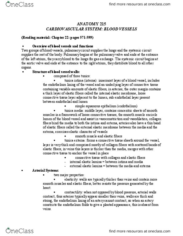 ANAT 215 Lecture Notes - Lecture 35: Tunica Intima, Tunica Externa, Loose Connective Tissue thumbnail