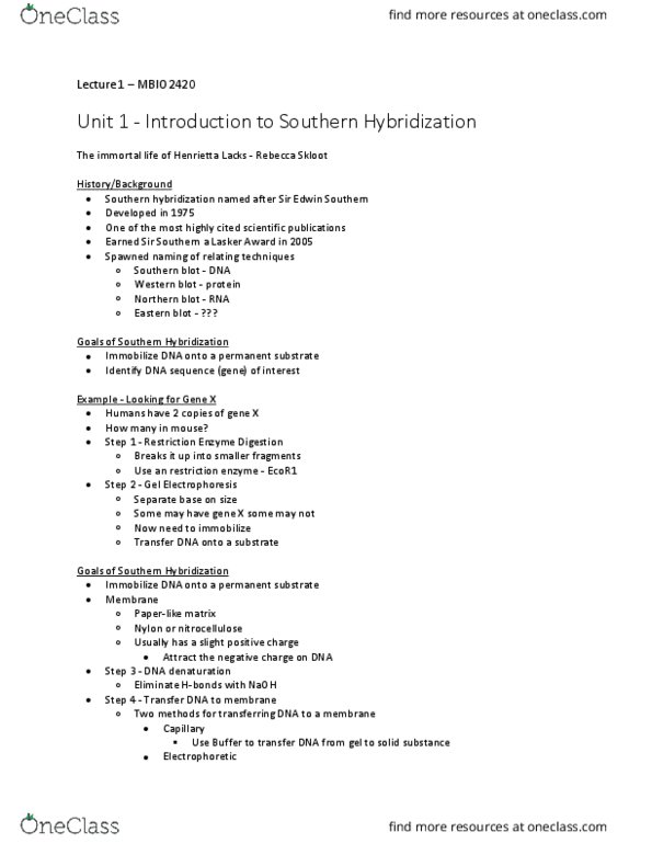 MBIO 2420 Lecture Notes - Lecture 1: Rebecca Skloot, Southern Blot, Eastern Blot thumbnail