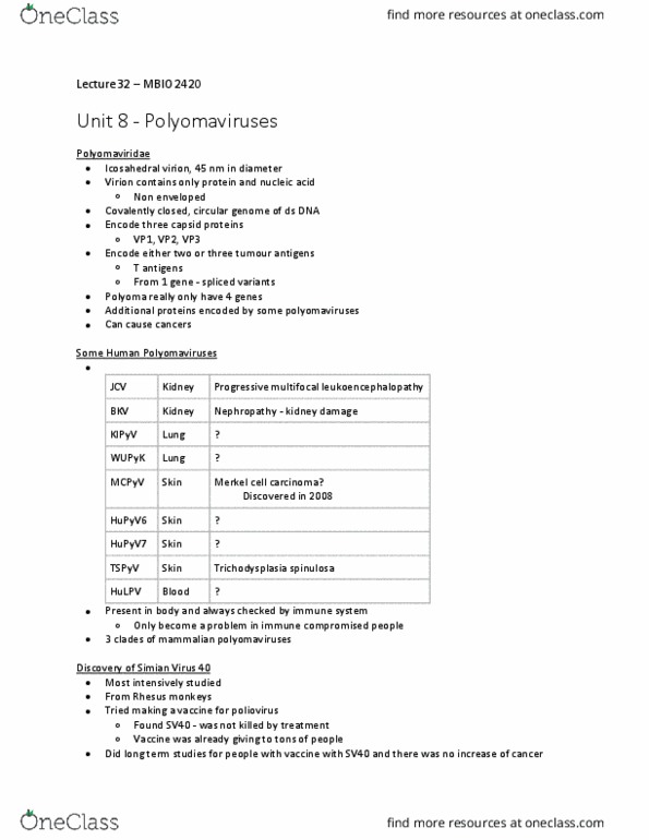 MBIO 2420 Lecture Notes - Lecture 27: Sv40 Large T Antigen, Polyomaviridae, Endoplasmic Reticulum thumbnail
