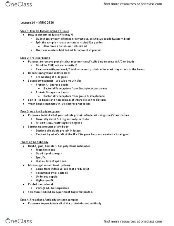 MBIO 2420 Lecture Notes - Lecture 9: Polyclonal Antibodies, Lysis Buffer, Western Blot thumbnail