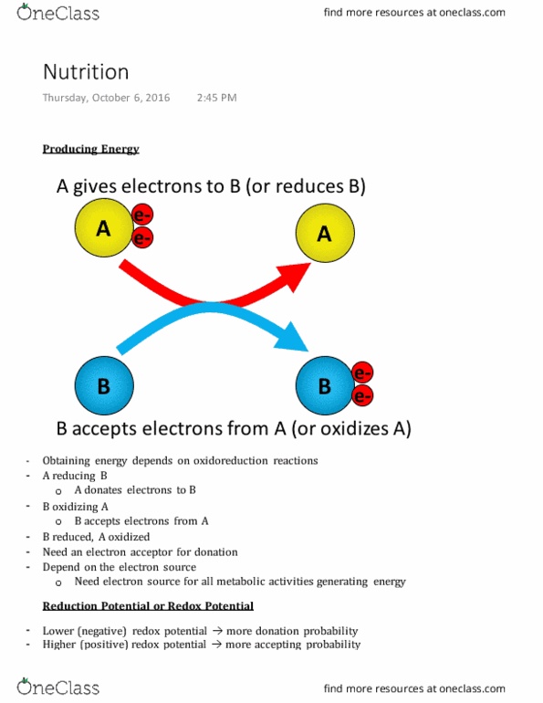 BIO 3124 Lecture Notes - Lecture 6: Electron Transport Chain, Reduction Potential, Glycolysis thumbnail