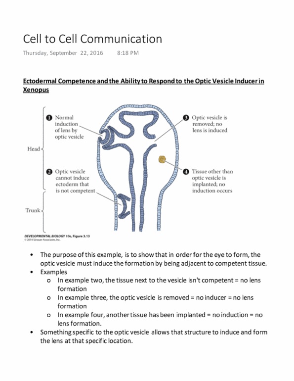 BIO 3147 Lecture 2: Cell to Cell Communication thumbnail