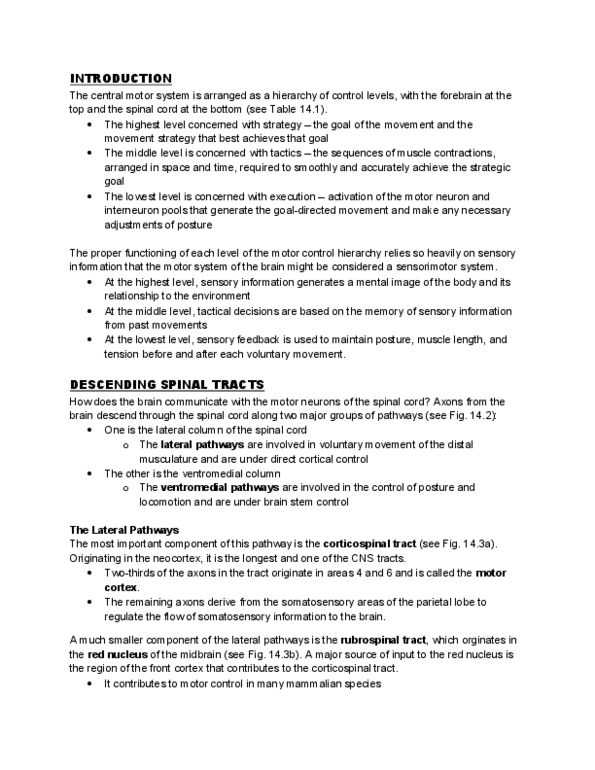 BIOL 467 Lecture Notes - White Matter, Cerebellar Vermis, Hemiballismus thumbnail