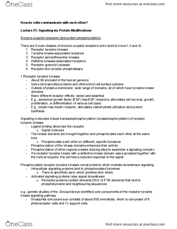 BIO230H1 Lecture Notes - Lecture 21: Receptor Tyrosine Kinase, Histidine Kinase, Protein Kinase thumbnail