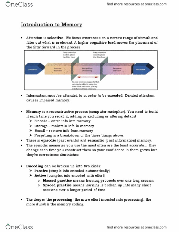 PSYCH101 Lecture Notes - Lecture 1: Episodic Memory, Baddeley'S Model Of Working Memory, Semantic Network thumbnail