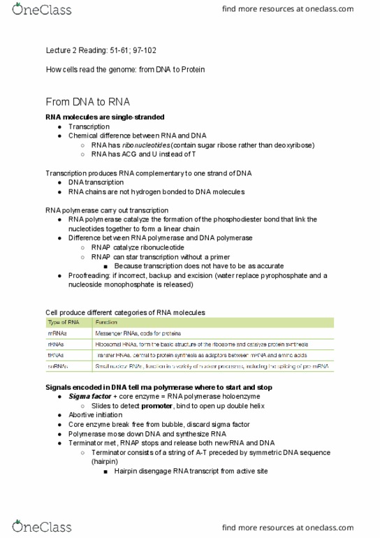 BIO230H1 Chapter Notes - Chapter 2: Nucleotide, Phosphodiester Bond, Sigma Factor thumbnail