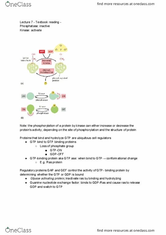 BIO230H1 Chapter Notes - Chapter 7: Ubiquitin Ligase, Eif2, Eif2B thumbnail
