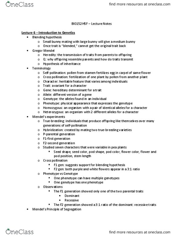 BIO152H5 Lecture Notes - Lecture 6: Gregor Mendel, Gynoecium, Stamen thumbnail