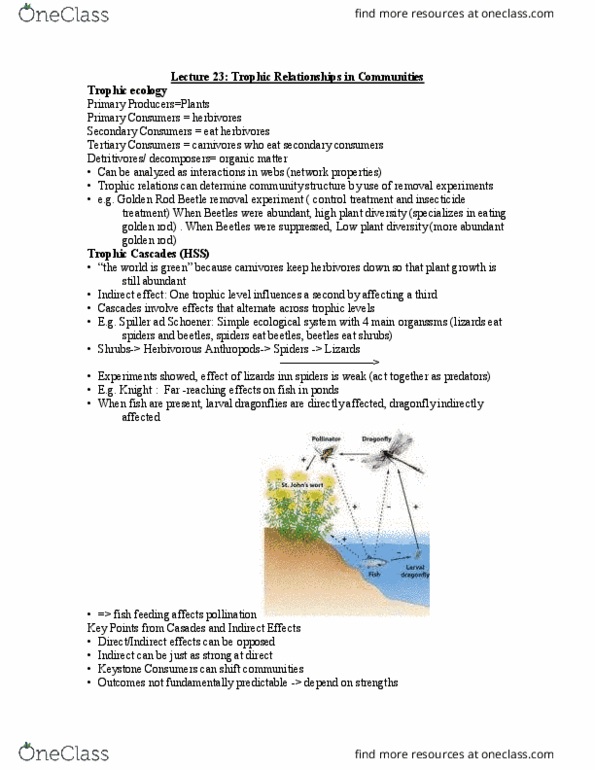 BIO120H1 Lecture Notes - Lecture 23: Goldenrod, Detritivore, Insecticide thumbnail