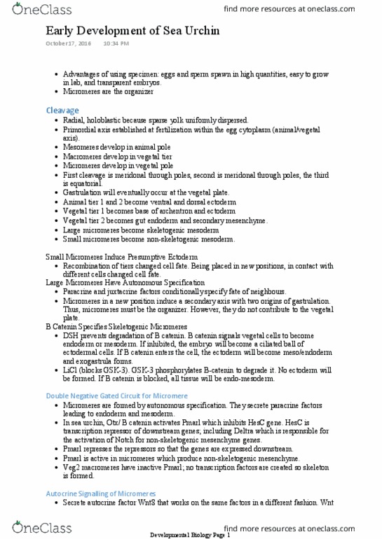 BIOL-4501 Chapter Notes - Chapter 4: Lithium Chloride, Blastocoel, Polarity In Embryogenesis thumbnail