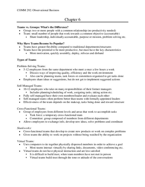 COMM 292 Chapter Notes - Chapter 6: Social Loafing, Mental Models, Process Variable thumbnail