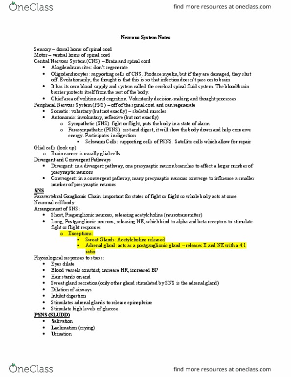 KIN 232 Lecture Notes - Lecture 19: Mammillary Body, Osmotic Concentration, Somatosensory System thumbnail