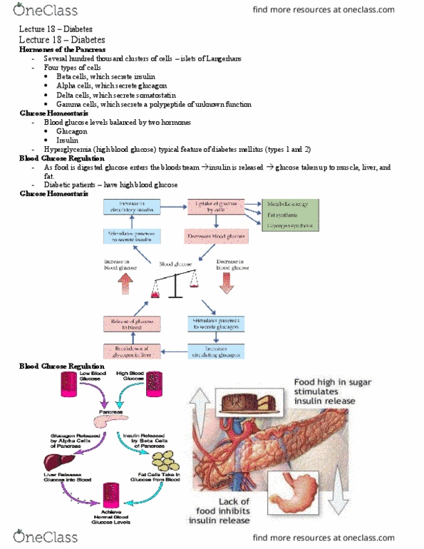 HSS 3305 Lecture Notes - Lecture 18: Glut2, Prediabetes, Erectile Dysfunction thumbnail