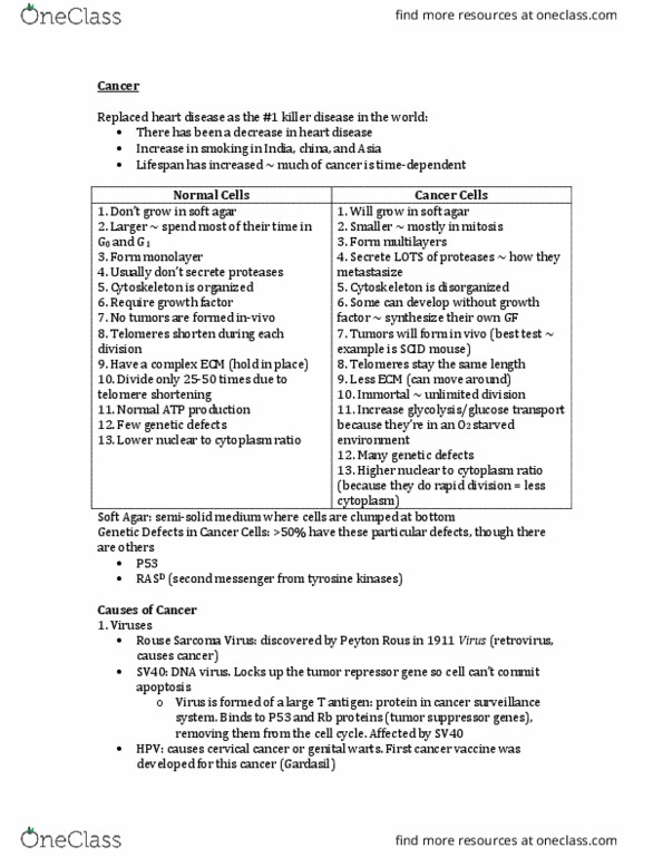 BIOL 311 Lecture Notes - Lecture 18: Trastuzumab, Basal-Cell Carcinoma, Cancer Stem Cell thumbnail