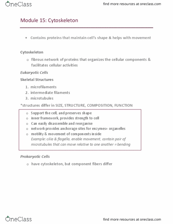 BI110 Chapter Notes - Chapter 15: Kinesin, Basal Body, Treadmilling thumbnail