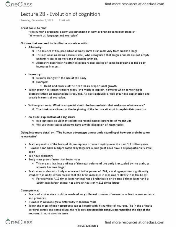 NSCS 320 Lecture Notes - Lecture 28: Hominidae, Language Acquisition, Eric Lenneberg thumbnail