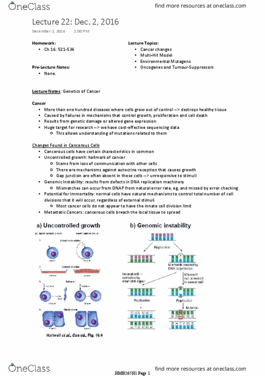 HMB265H1 Lecture Notes - Lecture 22: Lung Cancer, Mlh1, E2F thumbnail