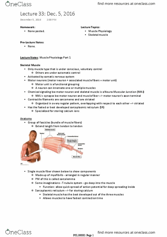 PSL300H1 Lecture Notes - Lecture 33: Curare, Myofilament, Sarcomere thumbnail