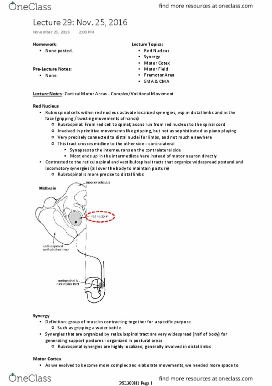 PSL300H1 Lecture Notes - Lecture 29: Reticular Formation, Frontal Lobe, Thalamus thumbnail