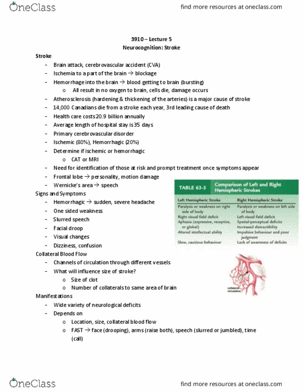 Nursing 3910A/B Lecture Notes - Lecture 5: Ischemia, Anatomical Terms Of Motion, Bruit thumbnail