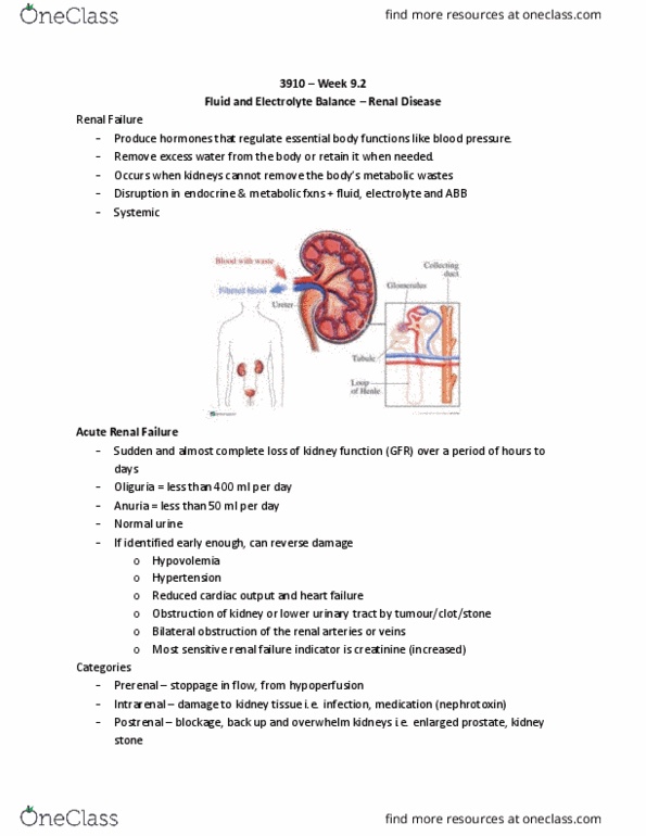 Nursing 3910A/B Lecture Notes - Lecture 9: Dialysis, Jugular Vein, Renal Artery thumbnail