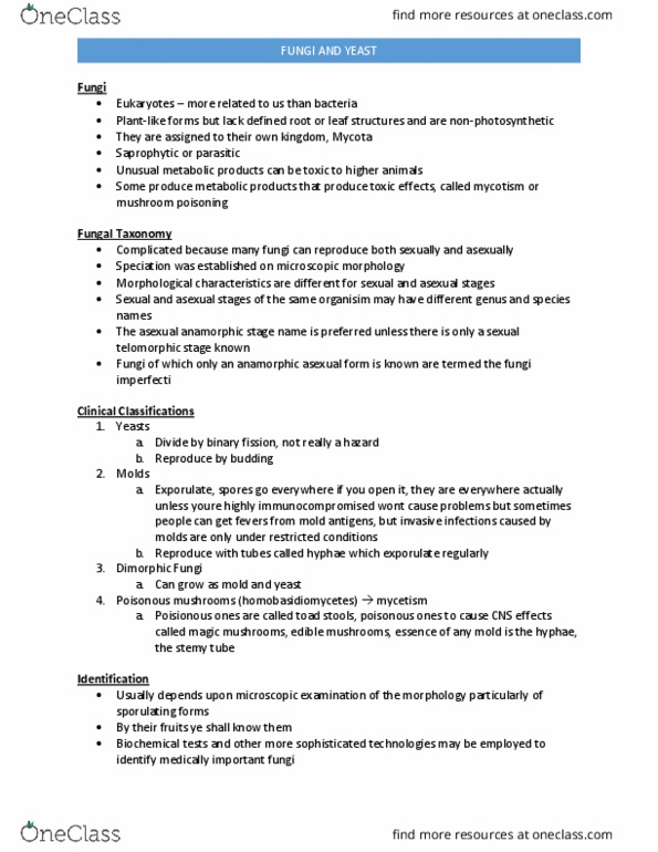 Microbiology and Immunology 3820A Lecture Notes - Lecture 16: Mycelium, Vaginitis, Sporangium thumbnail