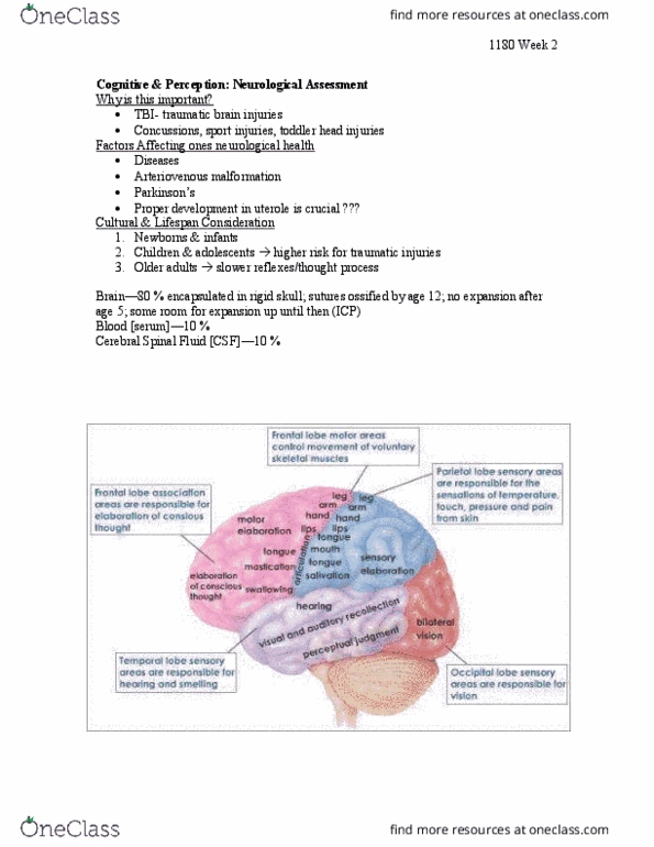 Nursing 1180A/B Lecture Notes - Lecture 2: Arteriovenous Malformation, Aphasia, Plantar Reflex thumbnail