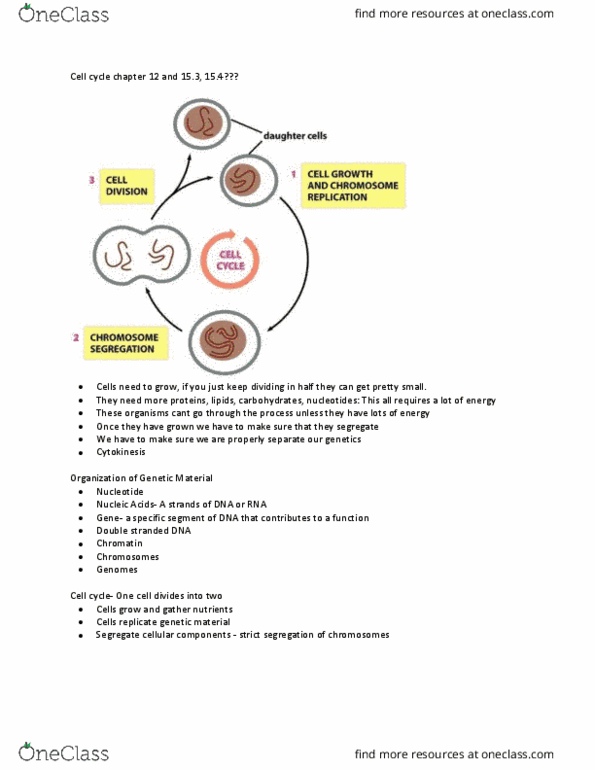 BISC207 Lecture Notes - Lecture 1: Cytokinesis, Metaphase, Telophase thumbnail